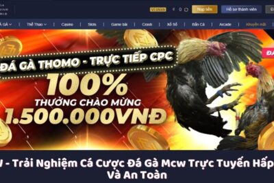 MCW – Trải Nghiệm Cá Cược Đá Gà Mcw Trực Tuyến Hấp Dẫn Và An Toàn